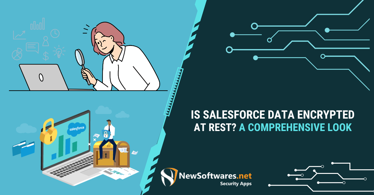 Is Salesforce Data Encrypted At Rest