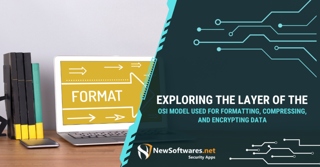 Layer of the OSI Model Used for Formatting