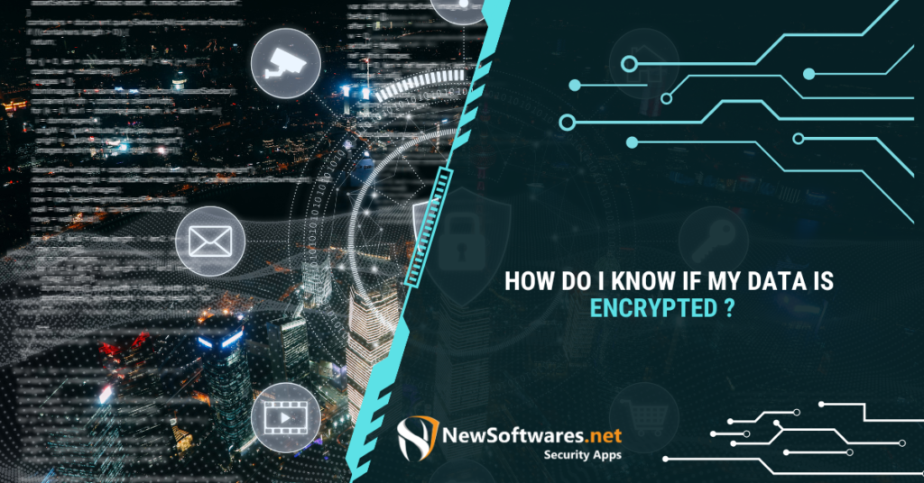 how to check whether data is already encrypted or not