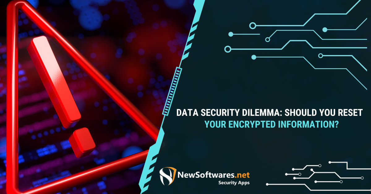 Data Security Dilemma: Should You Reset Your Encrypted Information ...