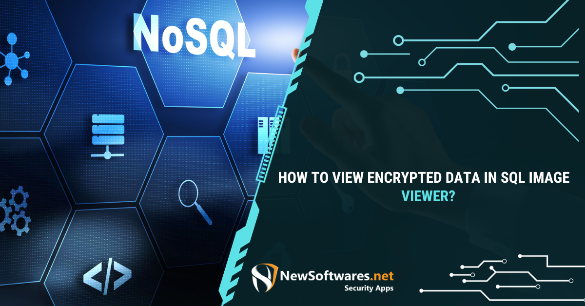 How To View Encrypted Data In Sql Image Viewer Newsoftwares Blog