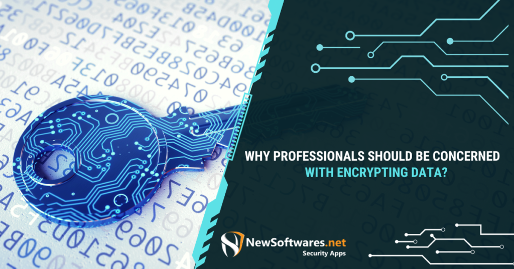 What is data encryption in e business?