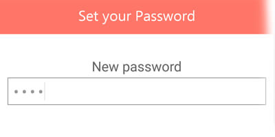 enter decoy password